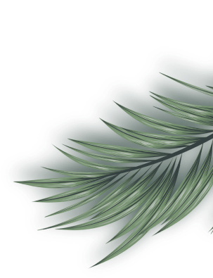 Shape Image