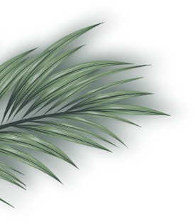 Shape Image